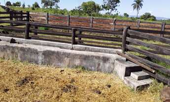 Imagem 5: Fazenda 260 Alqueires, Boa de Água com 5 Represas, Corrego Atravessando a Propiedade, 2 Ca