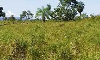 Imagem 7: Fazenda 260 Alqueires, Boa de Água com 5 Represas, Corrego Atravessando a Propiedade, 2 Ca