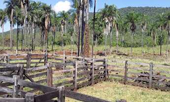 Imagem 6: Fazenda 260 Alqueires, Boa de Água com 5 Represas, Corrego Atravessando a Propiedade, 2 Ca
