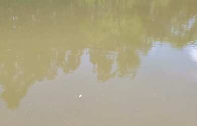 Imagem 2: Sítio 27000m2, Casa 150m2, 3 Dormitórios, Muita Água, Tanques de Peixes, Bem Cercado, 6 km