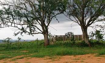 Imagem: Sítio com 12 Alqueires ótimo para criação