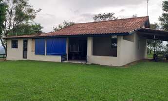 Imagem: Sítio 25 Alqueires 11 Alqueires c/Eucalipto,3