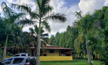 Imagem: Sítio 6,5 Alqueires Terra Mista,Boa p/Criação