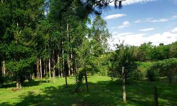 Imagem 2: Sítio 6,5 Alqueires Terra Mista,Boa p/Criação de Gado, Casa Sede 150m2 Avarandada 3 Dorms