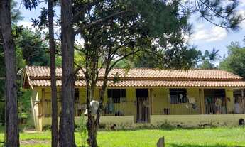 Imagem 4: Sítio 6,5 Alqueires Terra Mista,Boa p/Criação de Gado, Casa Sede 150m2 Avarandada 3 Dorms