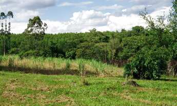 Imagem 6: Sítio 6,5 Alqueires Terra Mista,Boa p/Criação de Gado, Casa Sede 150m2 Avarandada 3 Dorms