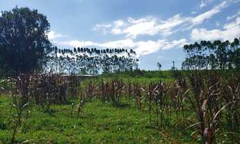 Imagem 7: Sítio 6,5 Alqueires Terra Mista,Boa p/Criação de Gado, Casa Sede 150m2 Avarandada 3 Dorms