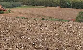 Imagem 5: Sitio 5,2 Alqueires, 600mts do Asfalto,8 kms do Carlos Botelho,15 Kms de São Miguel,4 Estu