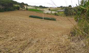 Imagem 6: Sitio 5,2 Alqueires, 600mts do Asfalto,8 kms do Carlos Botelho,15 Kms de São Miguel,4 Estu