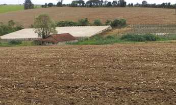 Imagem 7: Sitio 5,2 Alqueires, 600mts do Asfalto,8 kms do Carlos Botelho,15 Kms de São Miguel,4 Estu