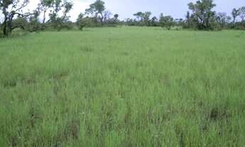 Imagem 7: Fazenda 34.440 Alqueires, Rica em Água com 40 Represas, 40 Lagos e Rio Cortando a Propried