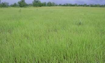 Imagem 5: Fazenda 34.440 Alqueires, Rica em Água com 40 Represas, 40 Lagos e Rio Cortando a Propried