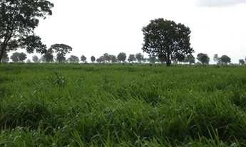 Imagem 3: Fazenda 34.440 Alqueires, Rica em Água com 40 Represas, 40 Lagos e Rio Cortando a Propried