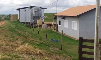 Imagem 5: Fazenda 500 Alqueires, Acesso Asfaltado, Toda em Pasto, Casa, Barracão, Mangueira, Poço Ar