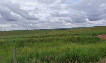 Imagem: Fazenda 500 Alqueires, Acesso Asfaltado