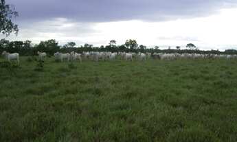 Imagem 4: Fazenda 34.440 Alqueires, Rica em Água com 40 Represas, 40 Lagos e Rio Cortando a Propried