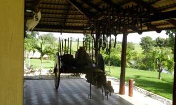 Imagem 2: Fazenda 3035 Alqueires, Rica em Água com Mais de 150 Represas, Toda Formada em Pecuária, 9