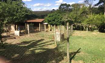 Imagem 2: Granja 2 Alqueires, Casa Sede, 2 Galpões, Comporta 12 Mil Frangos, Totalmente Automatizada