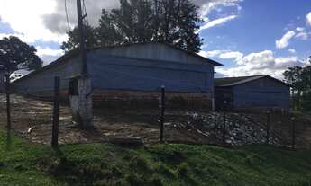 Imagem 4: Granja 2 Alqueires, Casa Sede, 2 Galpões, Comporta 12 Mil Frangos, Totalmente Automatizada