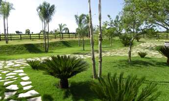 Imagem 5: Fazenda 3035 Alqueires, Rica em Água com Mais de 150 Represas, Toda Formada em Pecuária, 9