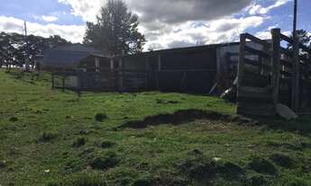 Imagem 3: Granja 2 Alqueires, Casa Sede, 2 Galpões, Comporta 12 Mil Frangos, Totalmente Automatizada