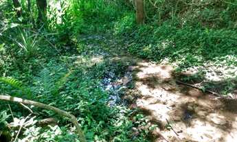 Imagem 7: Chácara 60.000m2, Rica em Água com Nascentes na Propriedade, Sem Benfeitorias, Ótima Local