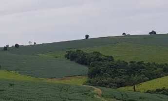 Imagem: Fazenda 213 Alqueires, Dupla Aptidão, Topografia