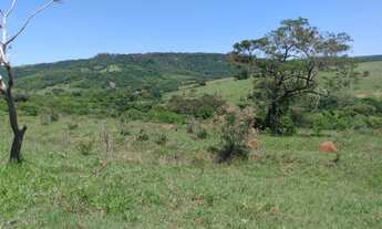 Imagem 6: Chácara 60.000m2, Rica em Água com Nascentes na Propriedade, Sem Benfeitorias, Ótima Local