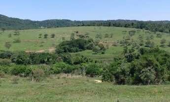 Imagem: Chácara 60.000m2, Rica em Água com Nascentes