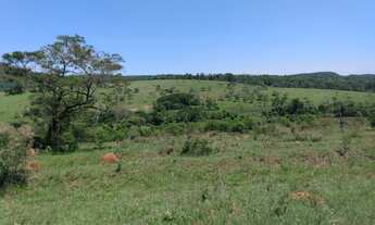 Imagem 3: Chácara 60.000m2, Rica em Água com Nascentes na Propriedade, Sem Benfeitorias, Ótima Local