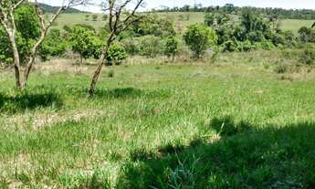 Imagem 5: Chácara 60.000m2, Rica em Água com Nascentes na Propriedade, Sem Benfeitorias, Ótima Local