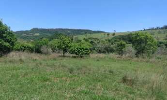 Imagem 4: Chácara 60.000m2, Rica em Água com Nascentes na Propriedade, Sem Benfeitorias, Ótima Local