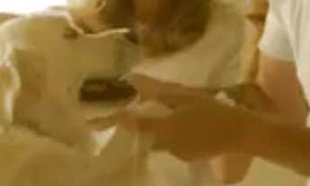 Imagem 2: Lançamento Vila Romi Residence, Lotes a Partir de 300m2, Área de Lazer Completa, Portaria