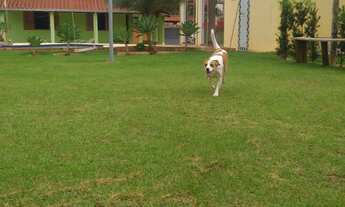 Imagem 4: Chácara 1000m2, Casa Sede com 301m2, 2 Dormitórios, Cozinha Sala e Varanda, Salão de Festa