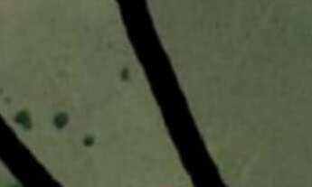 Imagem 4: Lançamento Wide Monte Mor, Casas 40m2, 2 Dormitórios, Cozinha Americana, Varanda ou Garden