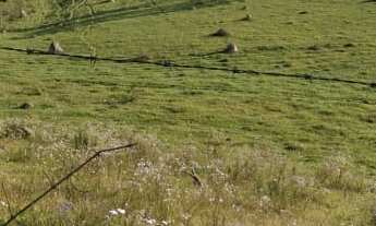 Imagem 2: Fazenda 125 Alqueires, Rica em Água com Varias Nascentes, Represa e Rio, Casa Sede, 2 Casa