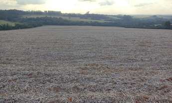 Imagem: Sítio 22 Alqueires, Planta 17 Alqueires