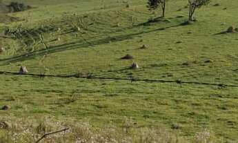 Imagem 3: Fazenda 125 Alqueires, Rica em Água com Varias Nascentes, Represa e Rio, Casa Sede, 2 Casa