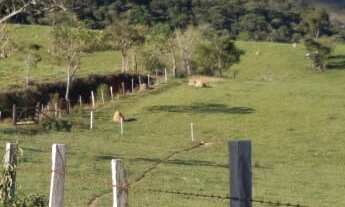 Imagem 6: Fazenda 125 Alqueires, Rica em Água com Varias Nascentes, Represa e Rio, Casa Sede, 2 Casa
