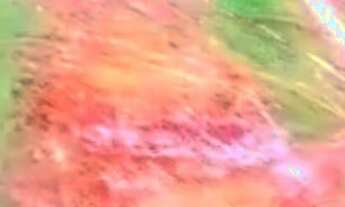 Imagem 2: Fazenda 96 Alqueires, Rica em Água com 19 Tanques de Água, Planta entre 70% e 80%, Casa Se