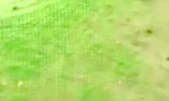 Imagem 7: Fazenda 96 Alqueires, Rica em Água com 19 Tanques de Água, Planta entre 70% e 80%, Casa Se