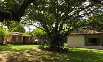 Imagem: Chácara 5000m2, Muitas Árvores Frutíferas