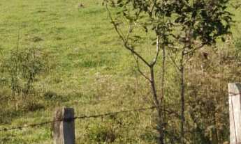 Imagem 5: Fazenda 125 Alqueires, Rica em Água com Varias Nascentes, Represa e Rio, Casa Sede, 2 Casa