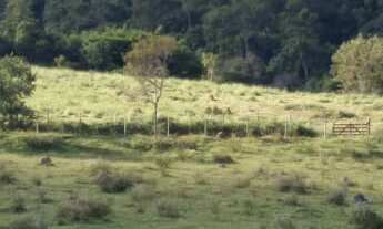 Imagem: Fazenda 125 Alqueires, Rica em Água com