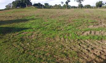 Imagem 6: Fazenda 1952 Hectares, Rico em Água com 30 Hectares em Lago e Nascentes, Dupla Aptidão, Ca