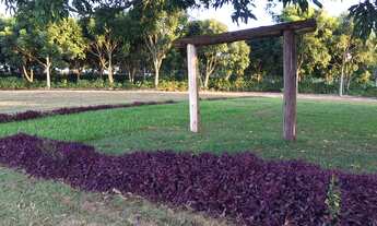 Imagem 3: Sítio 20 Alqueires, Rico em Água com Açudes e Ribeirão, 105 Mil Pés de Café, Barracão, 4 C