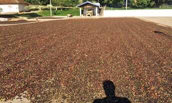 Imagem 2: Sítio 20 Alqueires, Rico em Água com Açudes e Ribeirão, 105 Mil Pés de Café, Barracão, 4 C