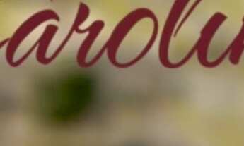 Imagem 2: Terrenos de 324m2 no Condomínio Terras da Carolina, Área de Lazer Completa, Ótima Localiza