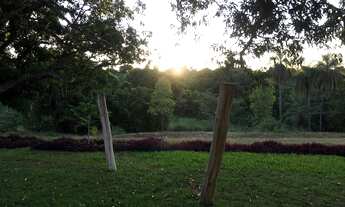 Imagem 4: Sítio 20 Alqueires, Rico em Água com Açudes e Ribeirão, 105 Mil Pés de Café, Barracão, 4 C