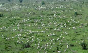 Imagem: Mega Fazenda de 48.000 Alqueires, Rica em